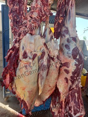 گوشت شتر تهرانپارس