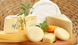 پنیر با شیر شتر